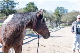 LR-WRF 10182025 Retreat-6487